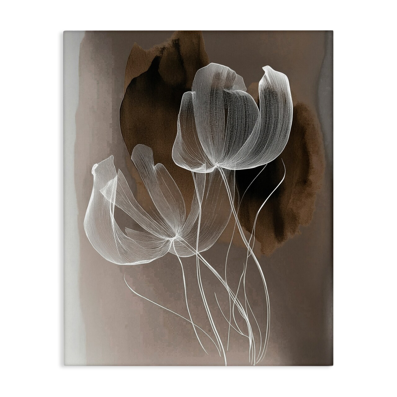 Stupell Industries Transparent Gossamer Flowers Canvas By Annabelle Hall